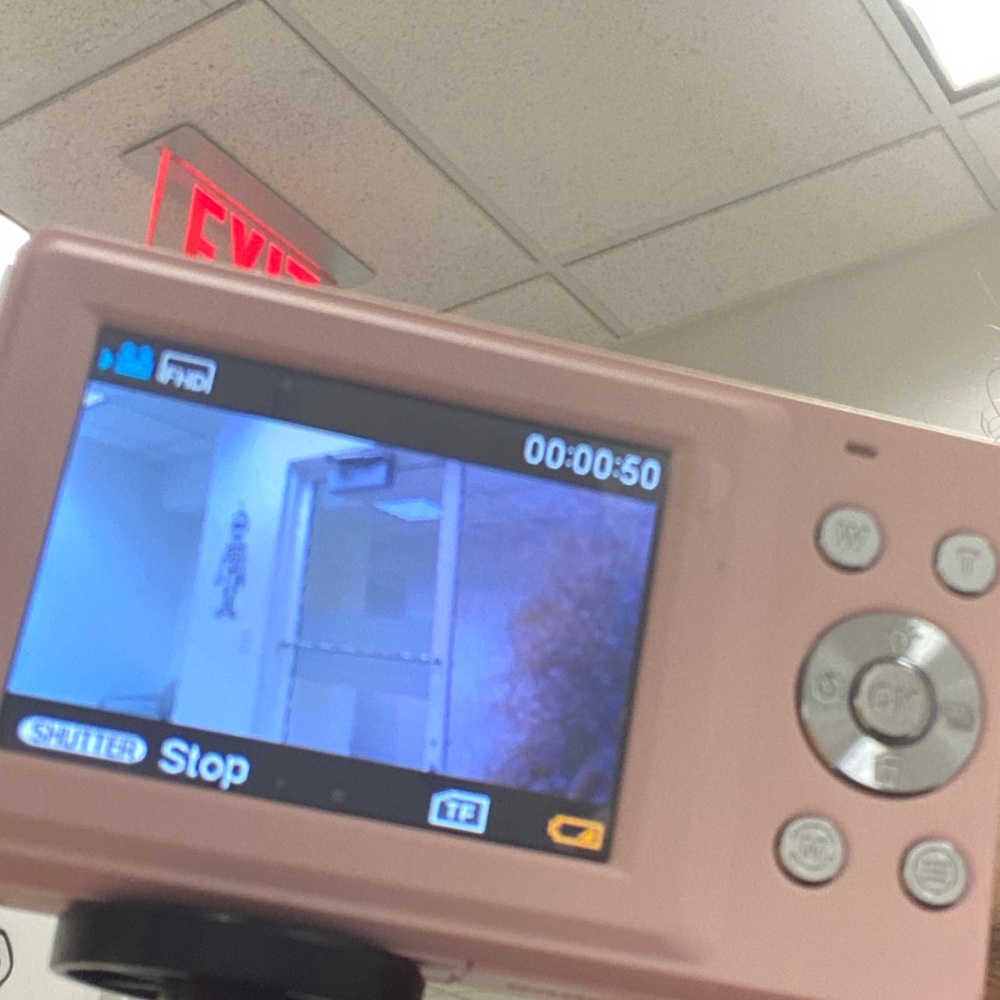 Pink camera